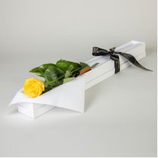 First White Rose